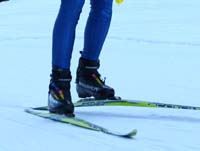 IMG_5037