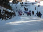 IMG_1231