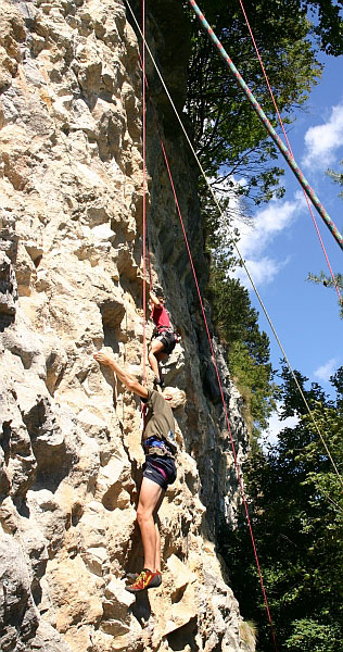 Arco13